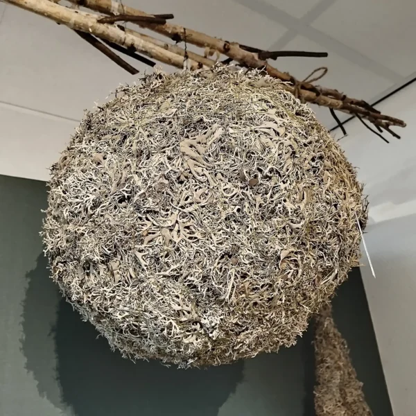 Ball tree moss 40 cm natural - Image 2