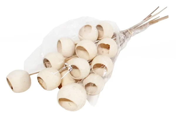 Bell cup o/st. natural