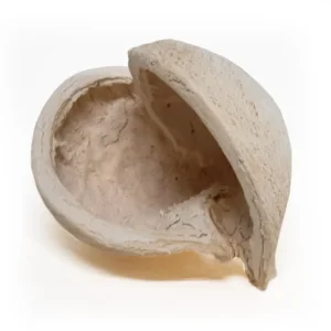 Buddha nuts bleached