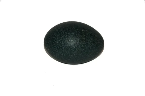 Emu egg natural