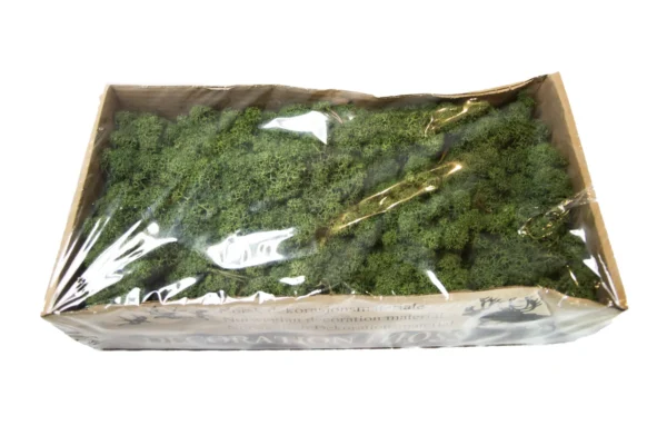 Icelandic moss preserved moss green