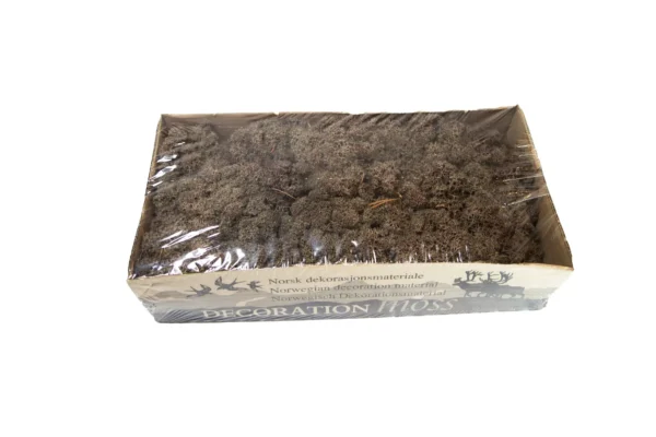 Icelandic moss preserved brown