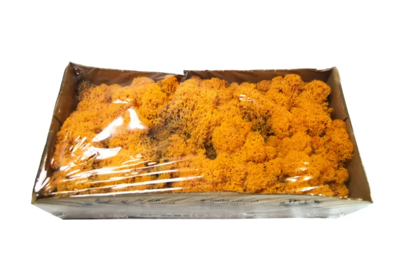 Icelandic moss preserved orange