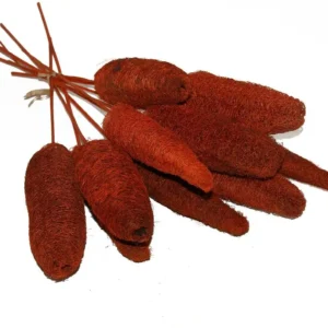Luffa o/st. orange
