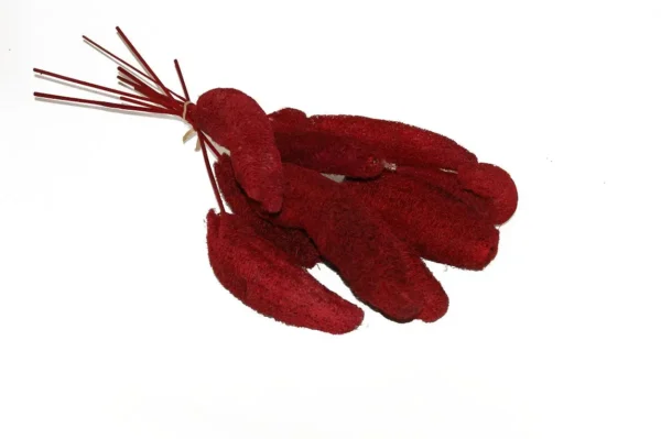 Luffa o/st. red