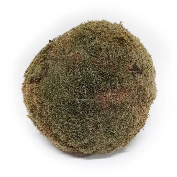 Ball flat moss 50 cm natural