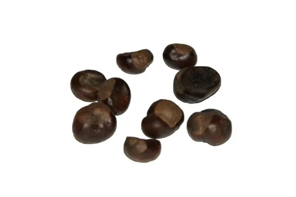Chestnuts natural