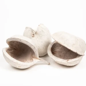 Buddha nuts stone washed white HKD