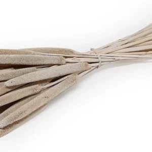 Babala stone washed white