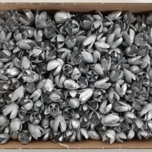 Bakuli silver
