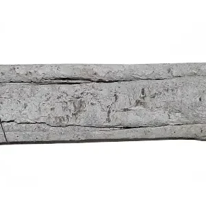 Bundle poplar bark 75 cm misty white
