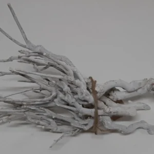Curry bush stone washed white