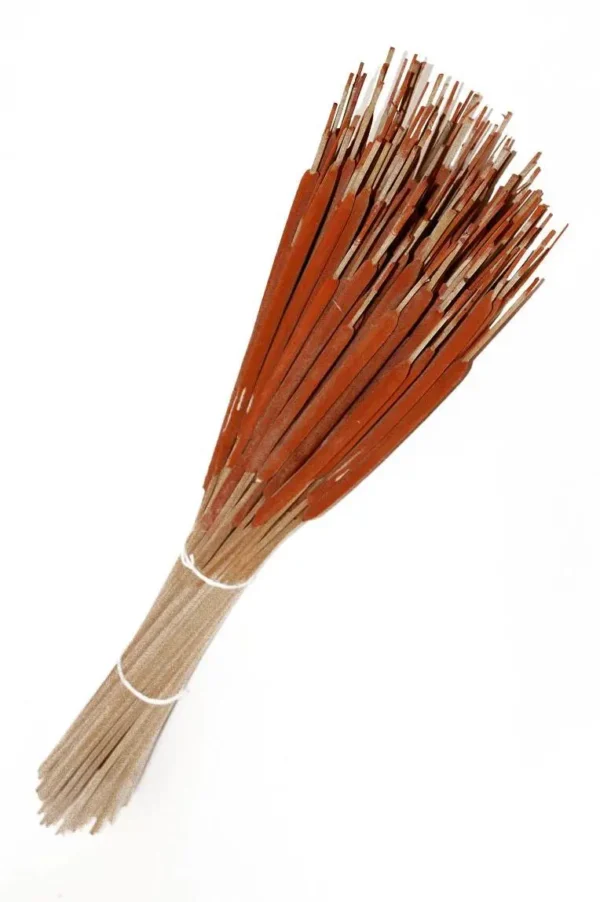 Typha medium orange