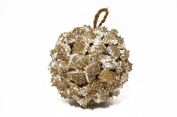Ball sea shells pennchiman 18 cm natural