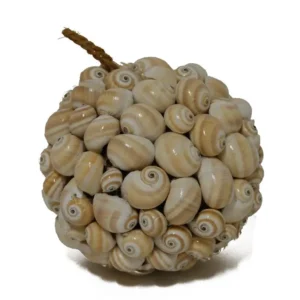 Ball sea shells mattukan 18 cm natural