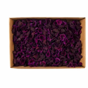 Zem aubergine