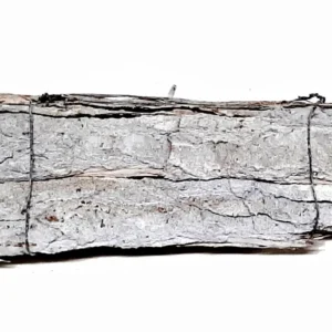 Bundle poplar bark 40 cm stone washed white