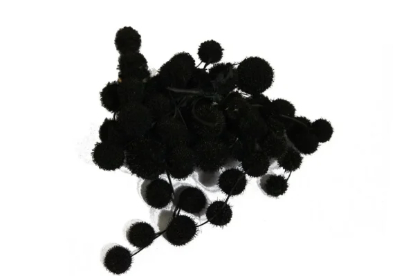 Sycamore balls black