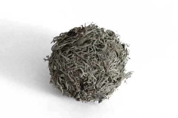 Balls tree moss 4 cm natural