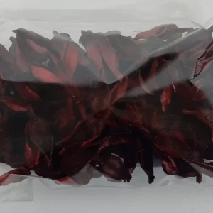 Bata caixa red