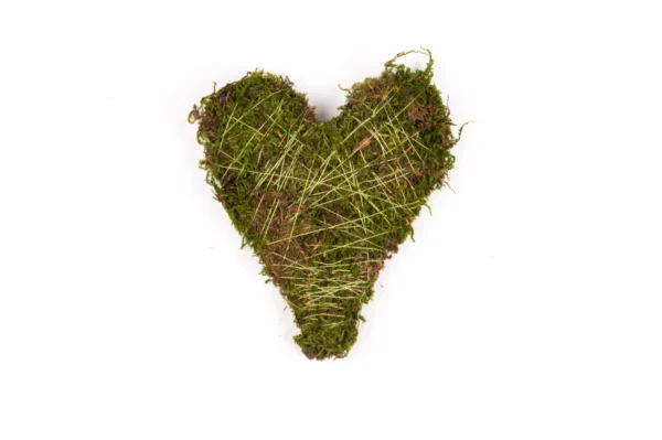 Hearts flat moss 15 cm natural