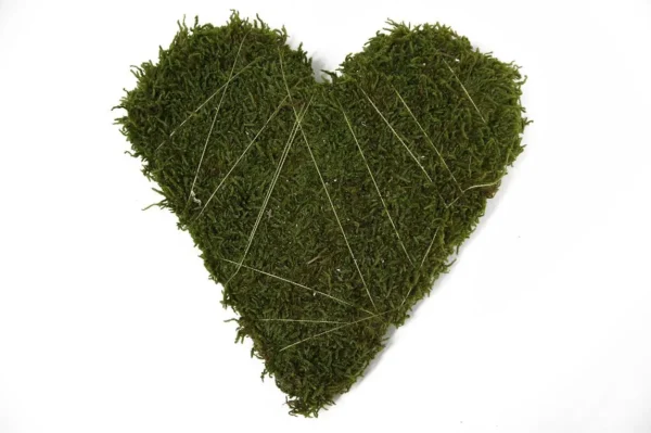 Heart flat moss 28x20 cm natural