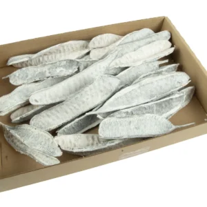 Beans leitosa stone washed white