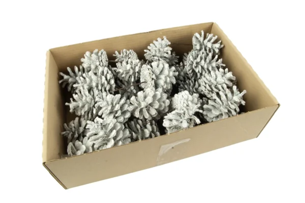 Austriaca cones o/wr. stone washed white