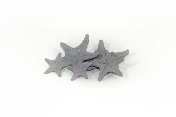 Starfish rhino 1" up grey