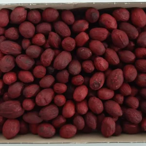 Amra pods bordeaux