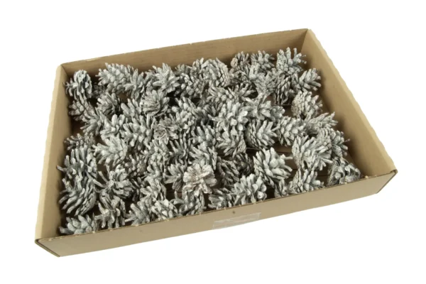 Silvesters o/wr. stone washed white