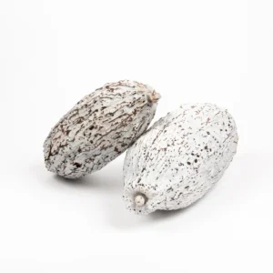 Cacao stone washed white
