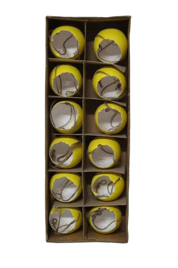 Chicken eggs open with rope yellow