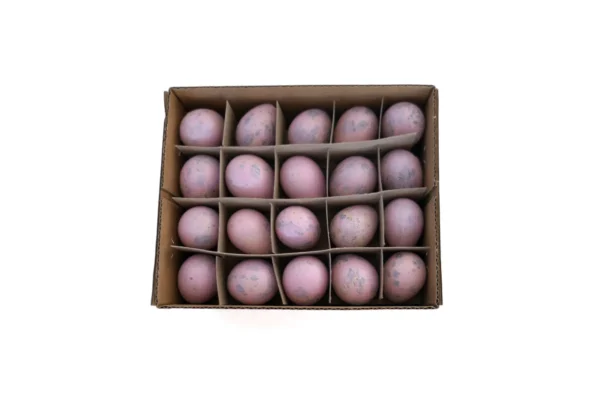 Quail eggs light pink