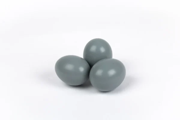 Chicken eggs grey