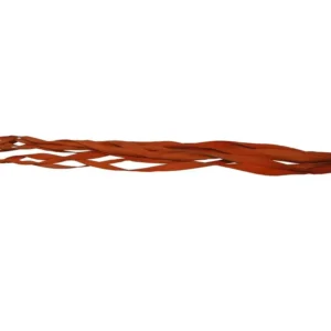 Palm leaves curl orange