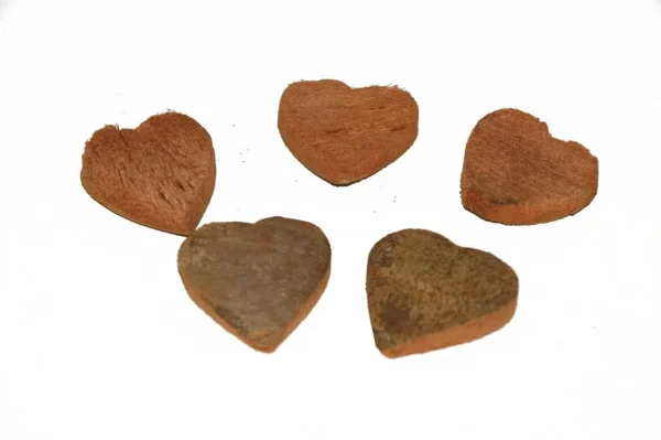 Coconut hearts 5 cm natural