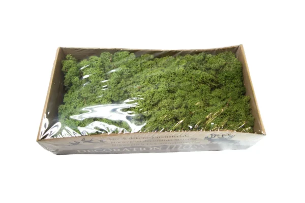 Icelandic moss preserved medium green