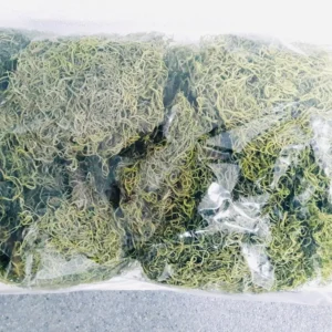 Forest moss preserved apple green