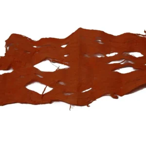 Mulberry bark orange