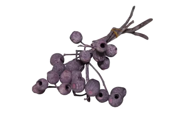 Eucalyptus bells on branch stone washed brombeer