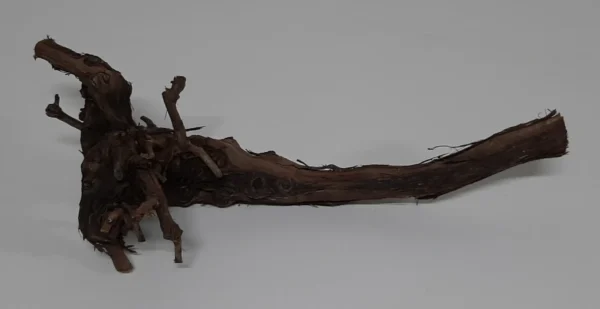 Grape wood 50-60 cm natural