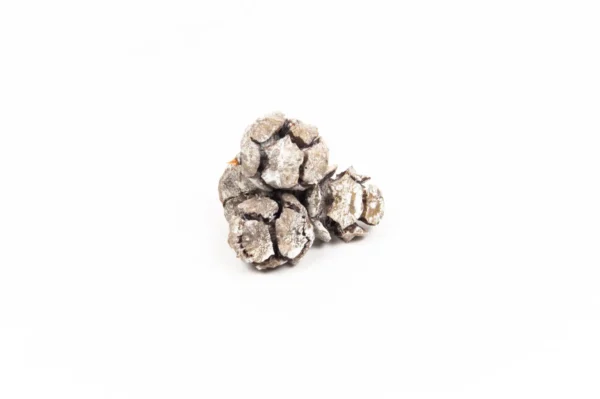 Cypresse stone washed white