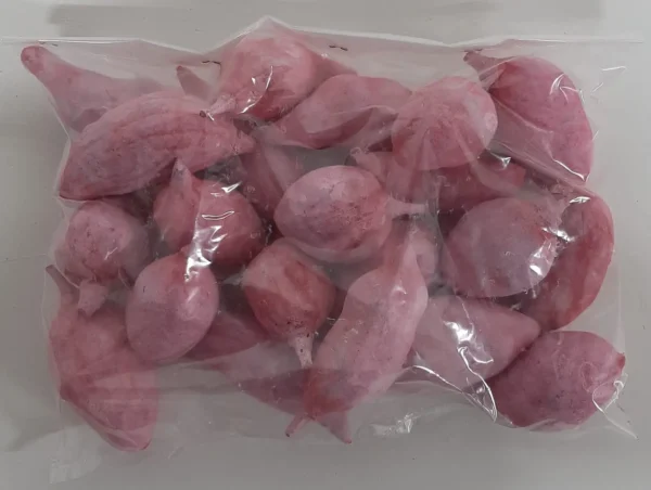 Baobab small light pink