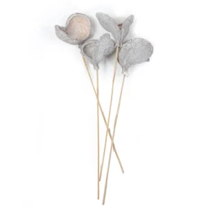 Badam o/st. stone washed white