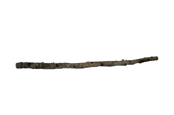 Birch trunk 2 mtr. dia. 10-12 cm natural