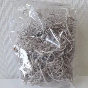 Curly moss stone washed white