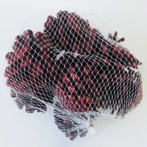 Austriaca cones in net bordeaux