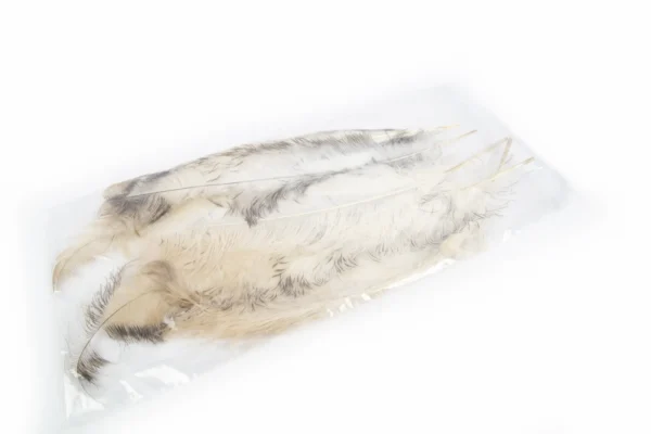 Ostrich feathers large natural