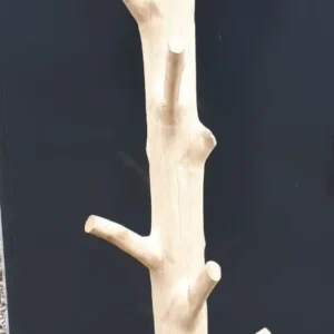 Mangosteen trunk half with side branches and pendant 1,8 mtr. natural